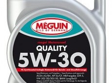Meguin megol Motorenoel Quality SAE 5W-30