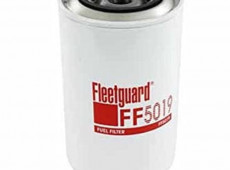 Fleetguard Yanacaq FF5019