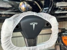 Tesla sukan